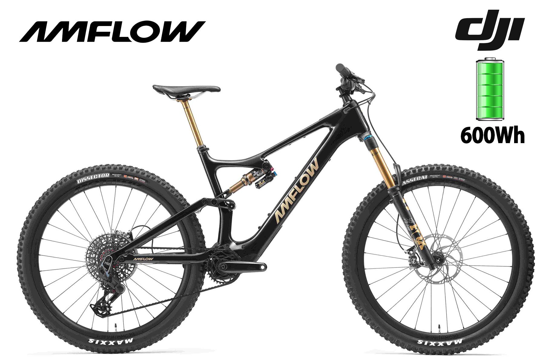 Amflow PL Carbon Pro 600 Wh black